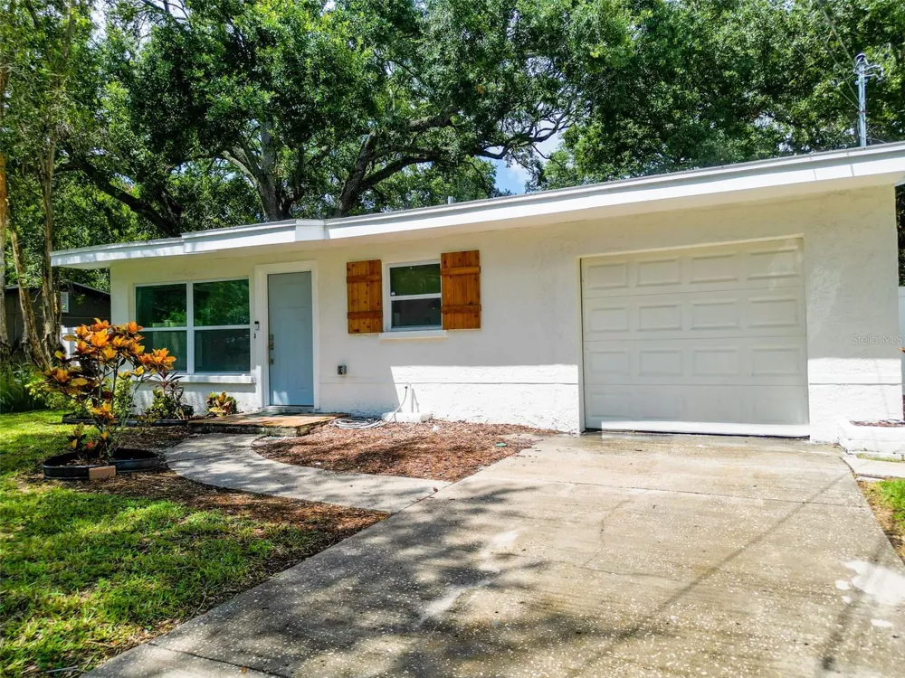 674 FREDERICA LN Dunedin, FL 34698