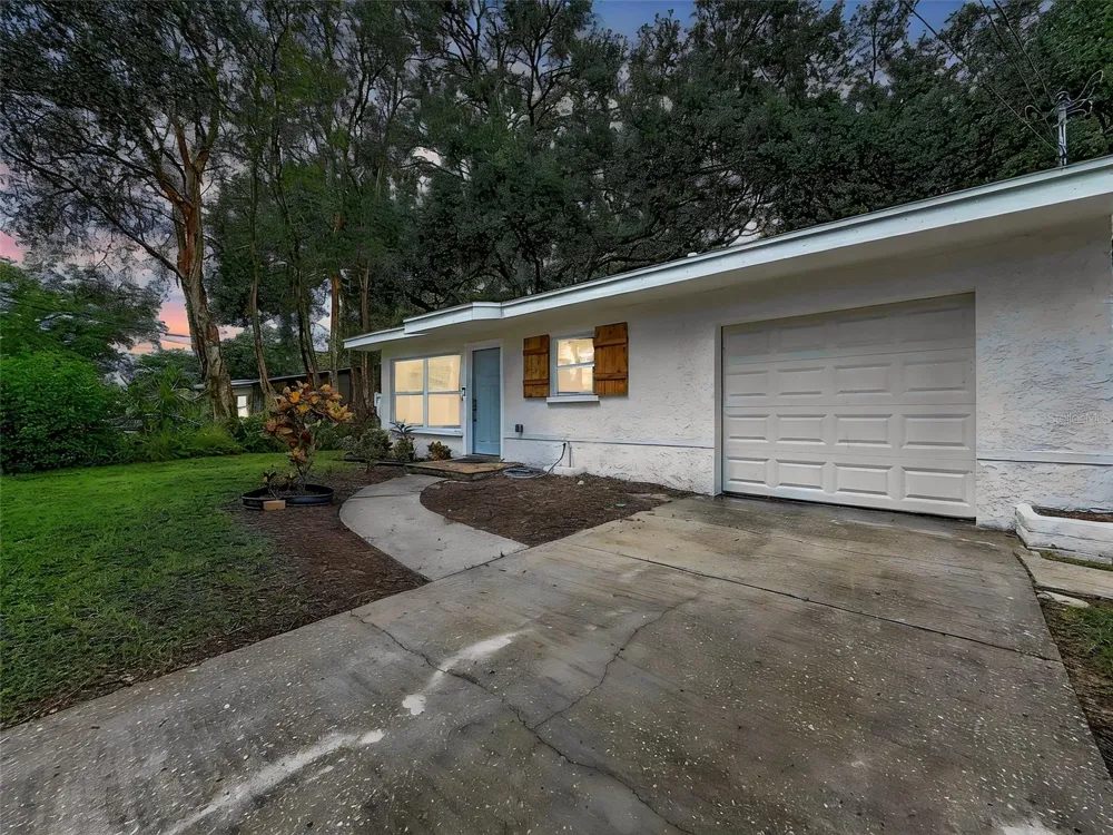 674 FREDERICA LN Dunedin, FL 34698
