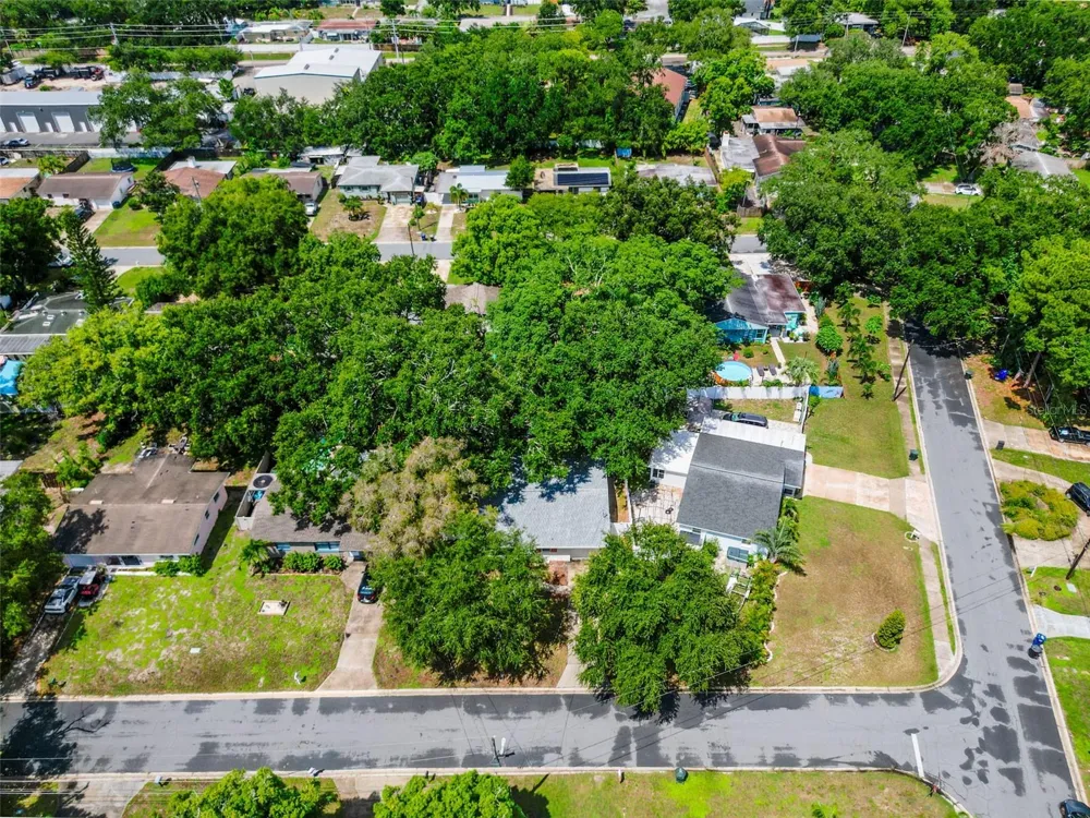674 FREDERICA LN Dunedin, FL 34698