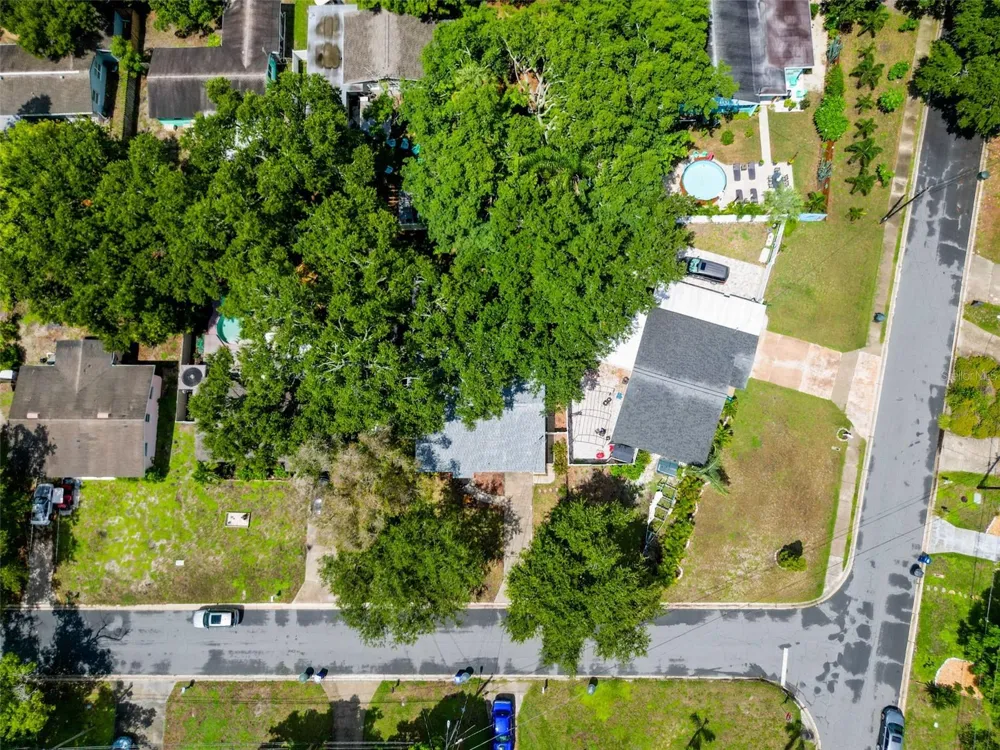 674 FREDERICA LN Dunedin, FL 34698