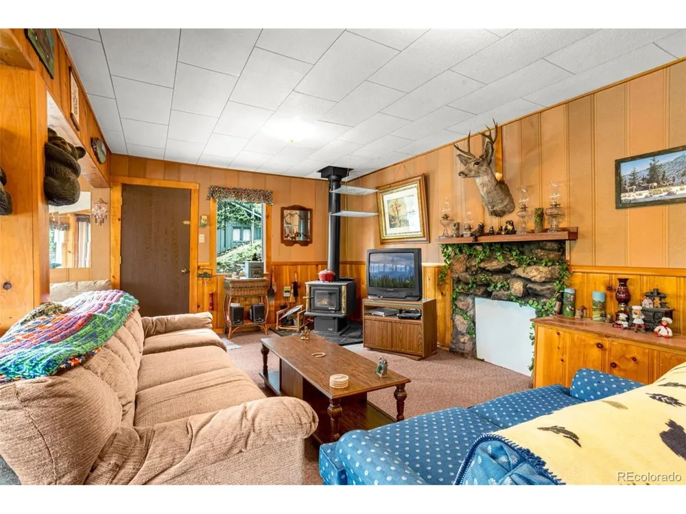 8855 Carroll Lakes Road #30 Woodland Park, CO 80863
