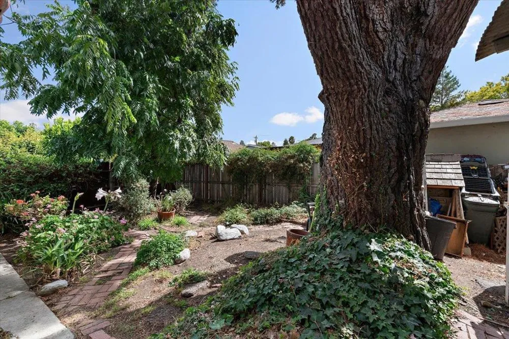 430 5th Avenue Redwood City, CA 94063