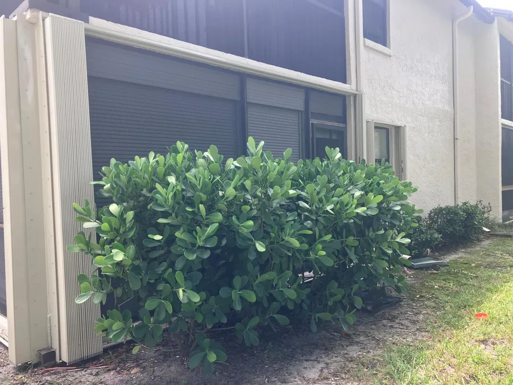 3323 PERIMETER DRIVE #1616 