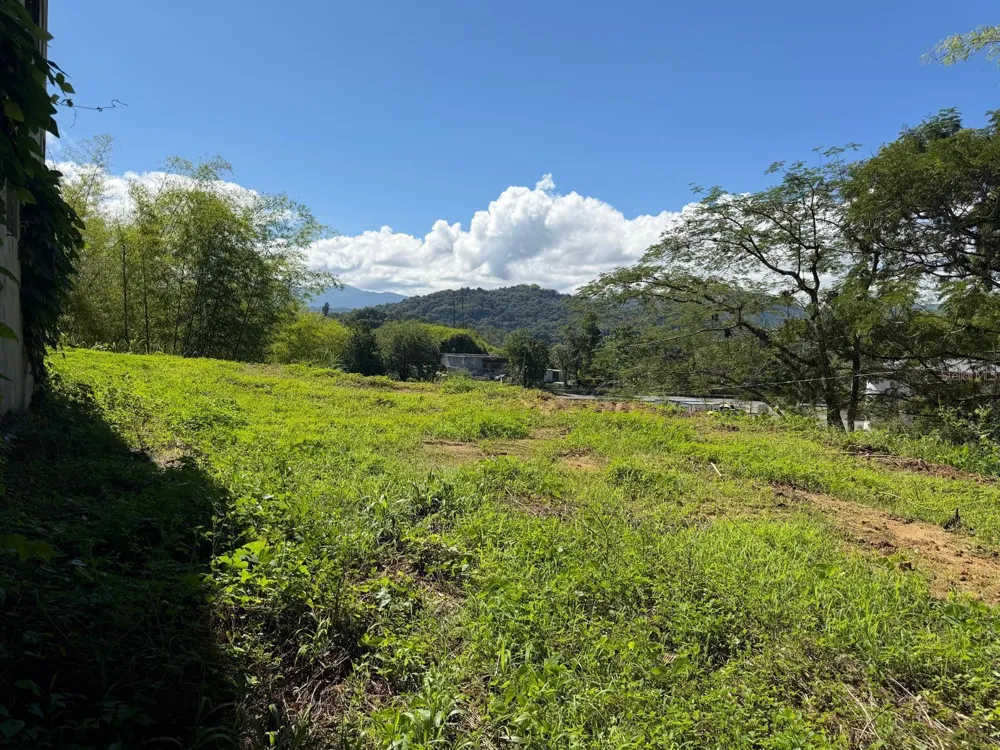 CARR 10 KM 43.3 BO SALTO ABAJO, SECTOR GREAULAU Utuado, PR 00641