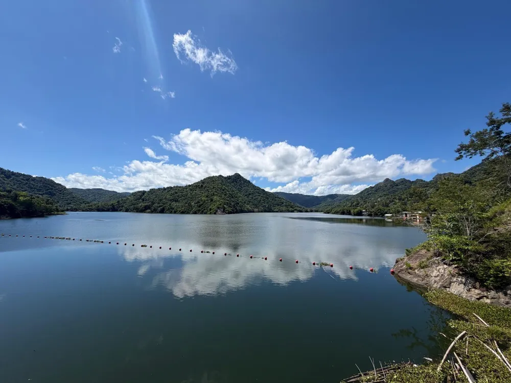 CARR 10 KM 43.3 BO SALTO ABAJO, SECTOR GREAULAU Utuado, PR 00641