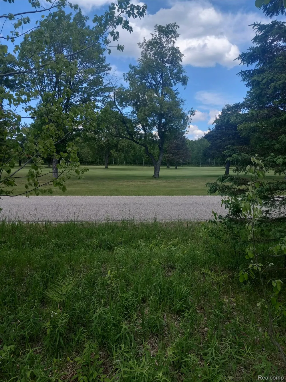 8648 Pineview Drive Mancelona Township, MI 49659