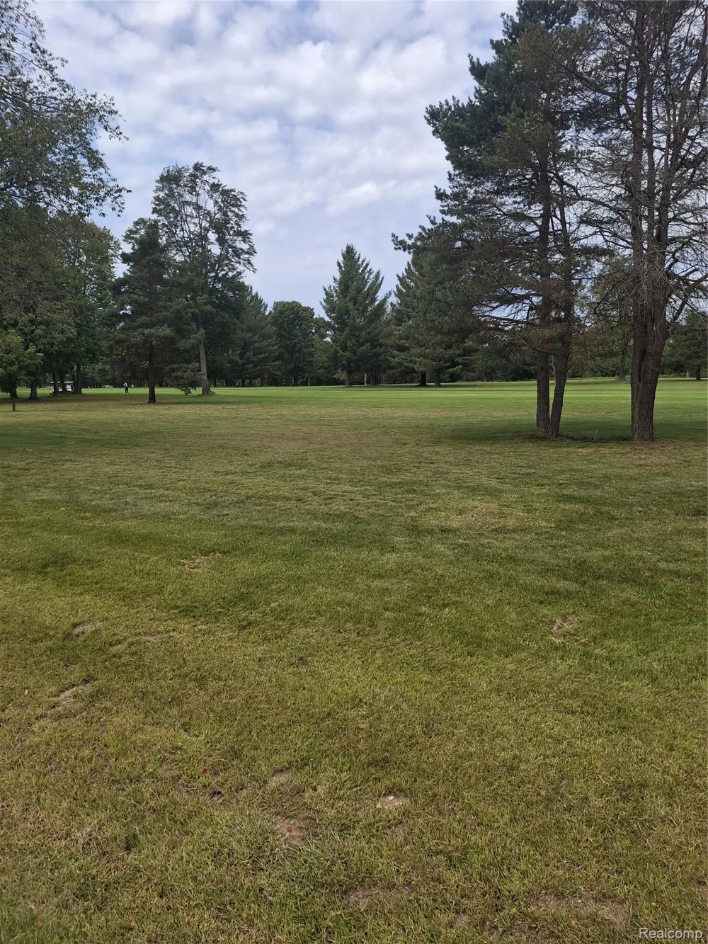 8648 Pineview Drive Mancelona Township, MI 49659