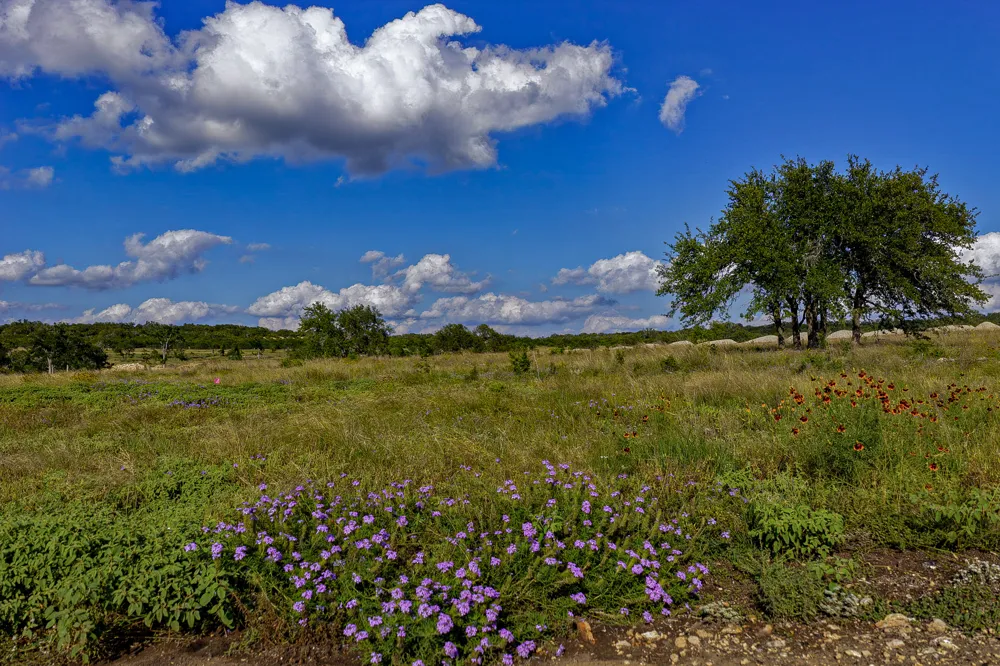 11 Maddalena Lane Dripping Springs, TX 78620