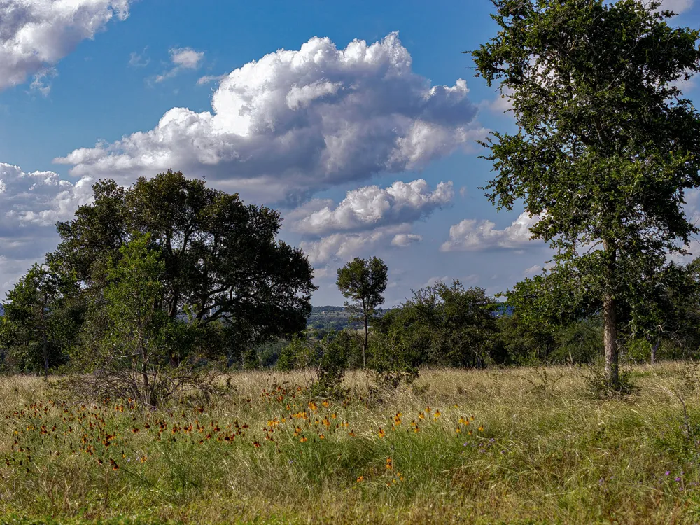 11 Maddalena Lane Dripping Springs, TX 78620