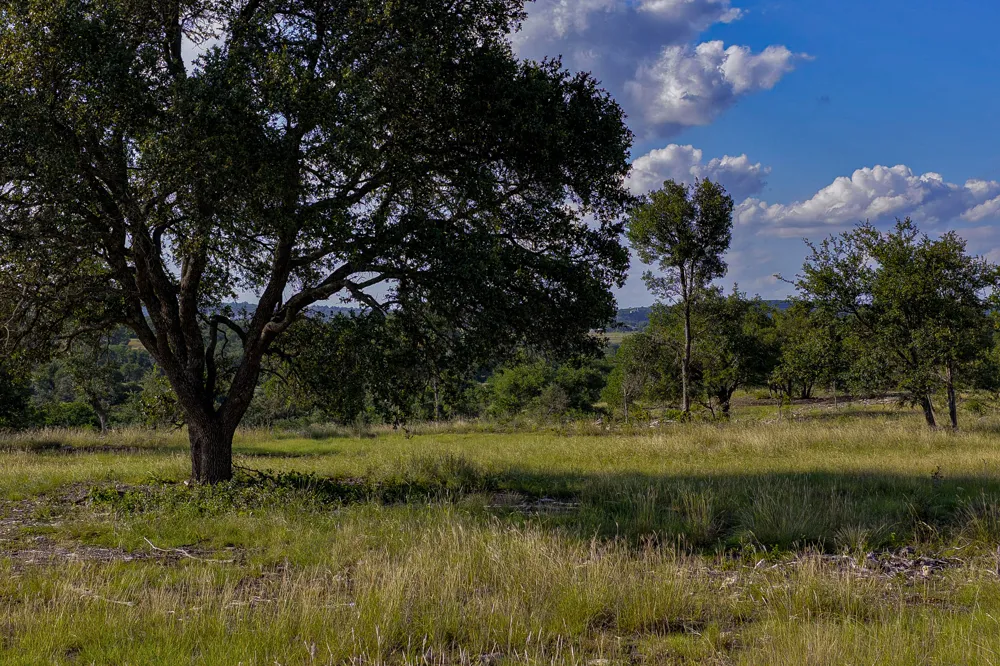 11 Maddalena Lane Dripping Springs, TX 78620