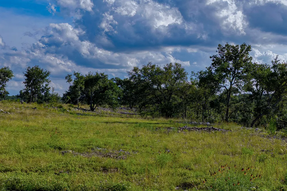 11 Maddalena Lane Dripping Springs, TX 78620