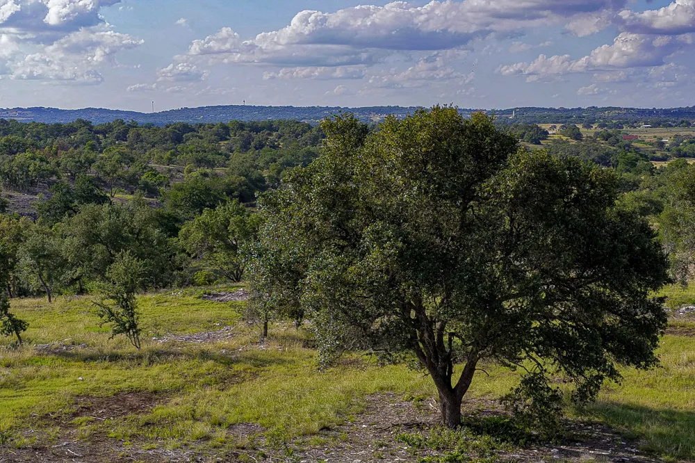 11 Maddalena Lane Dripping Springs, TX 78620