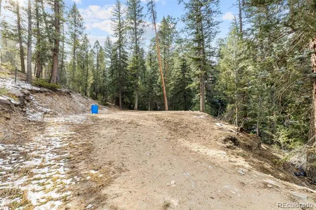 33755 Columbine Circle Evergreen, CO 80439