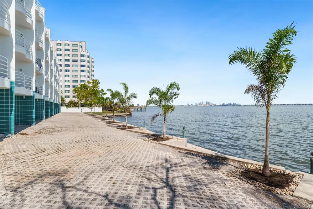 4950 BAYSHORE BOULEVARD #25D Tampa, FL 33611