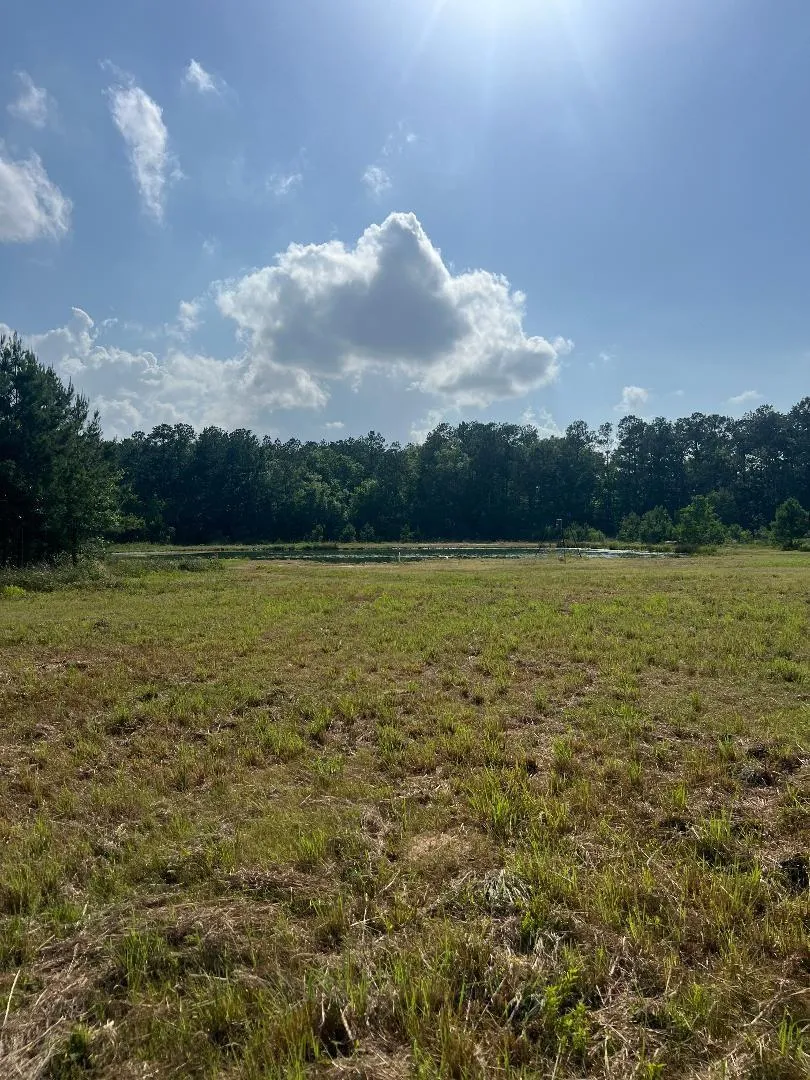 24980 Blackburn Dr Splendora, TX 77372