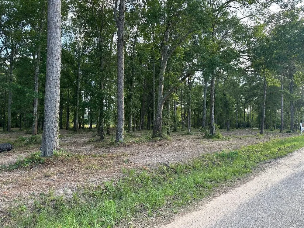 24980 Blackburn Dr Splendora, TX 77372