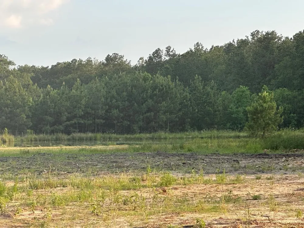 24980 Blackburn Dr Splendora, TX 77372