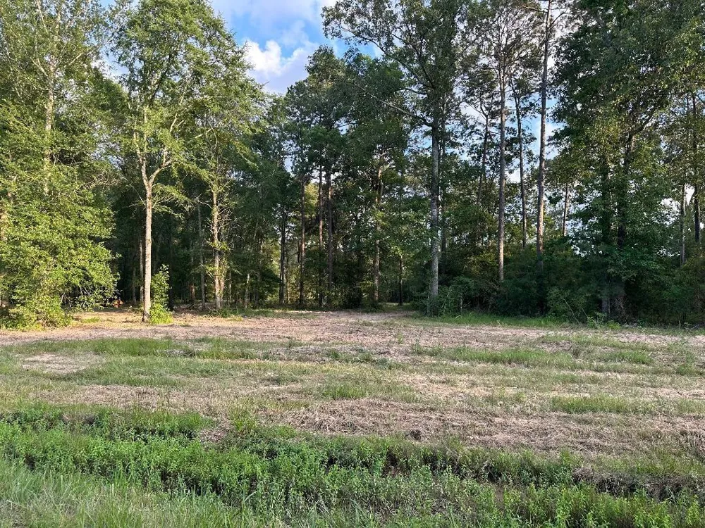 24980 Blackburn Dr Splendora, TX 77372