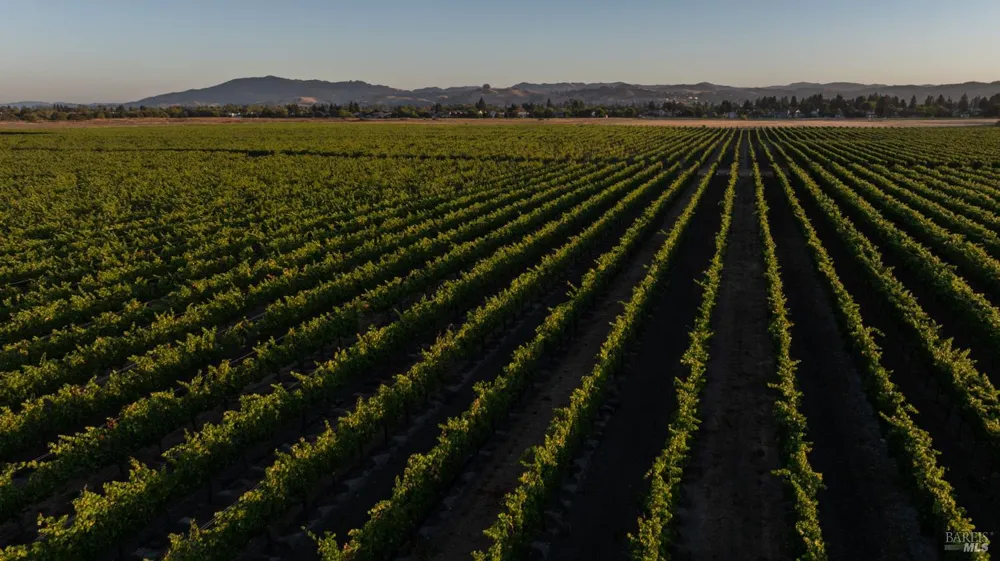 3066 Old Adobe Road Petaluma, CA 94954
