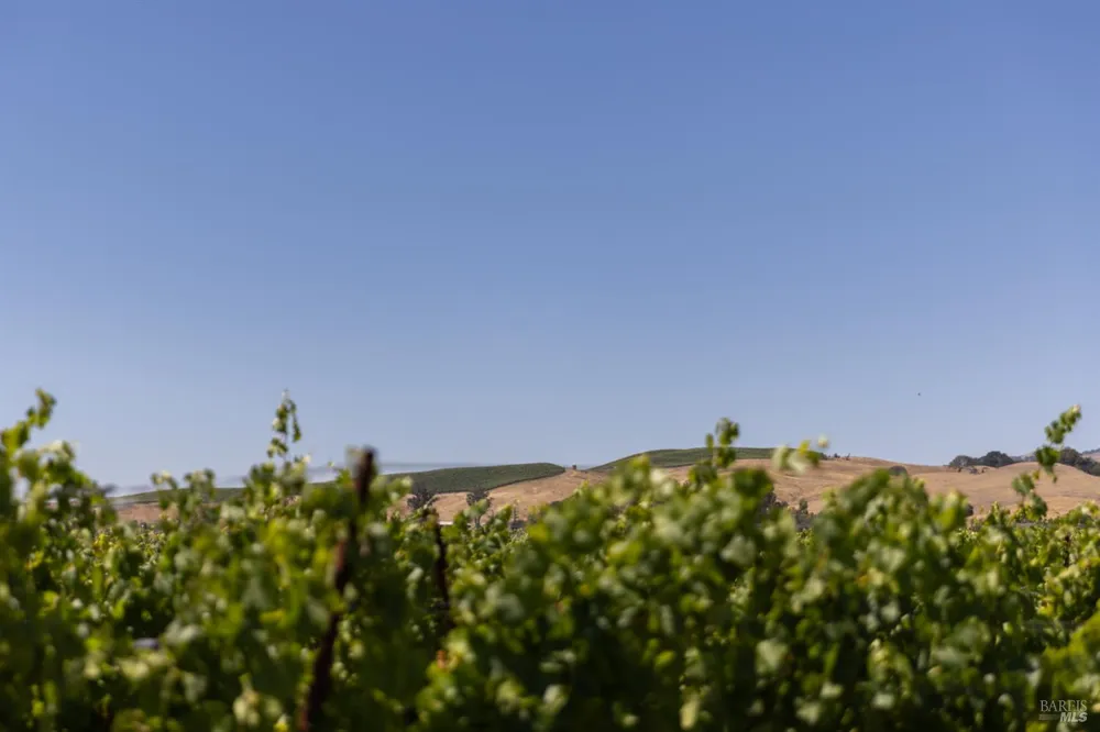 3066 Old Adobe Road Petaluma, CA 94954