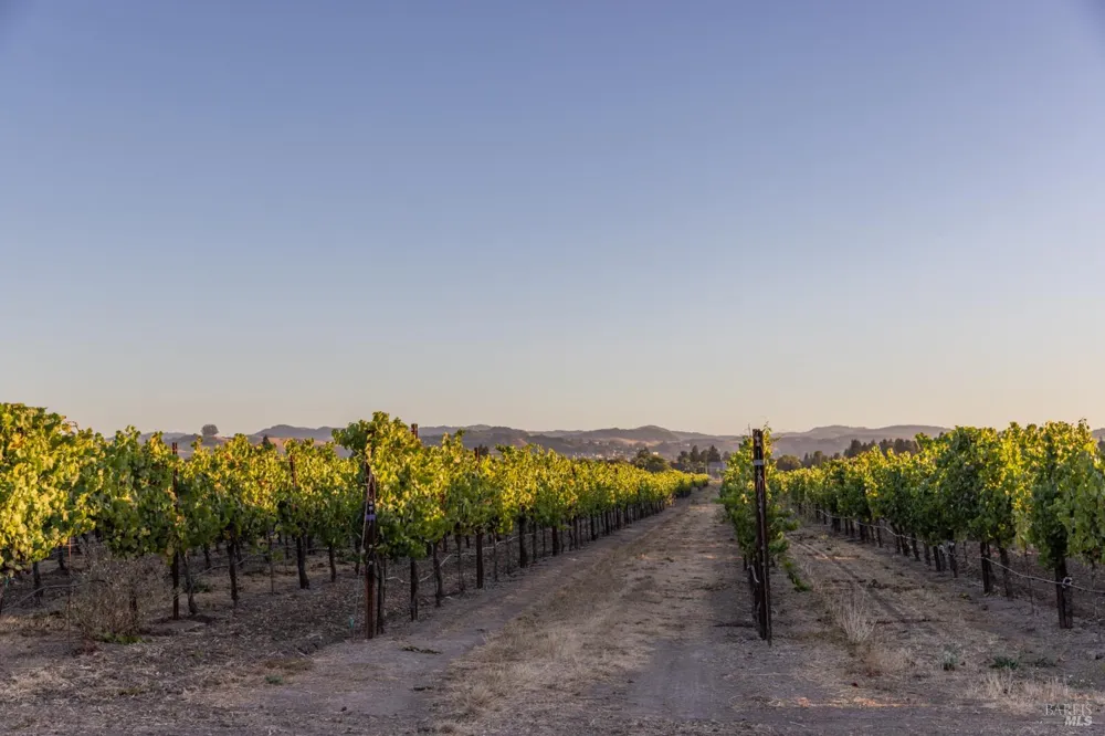 3066 Old Adobe Road Petaluma, CA 94954