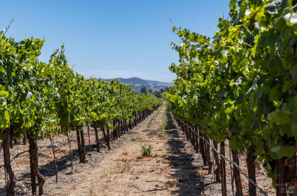 3066 Old Adobe Road Petaluma, CA 94954