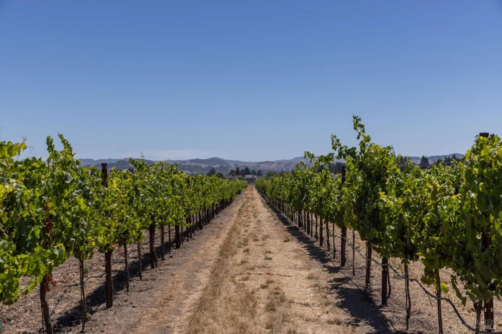 3066 Old Adobe Road Petaluma, CA 94954