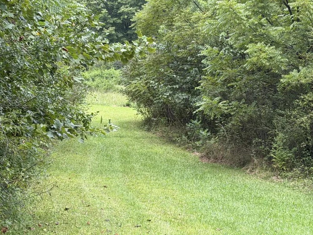 Old VFW Rd Whittier, NC 28789