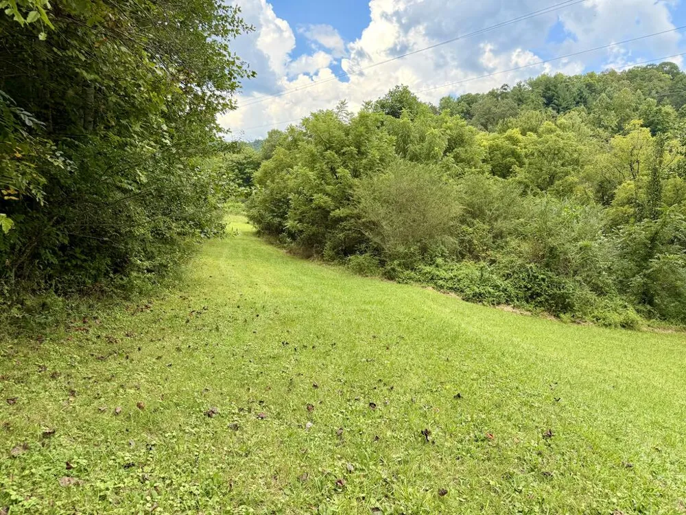 Old VFW Rd Whittier, NC 28789
