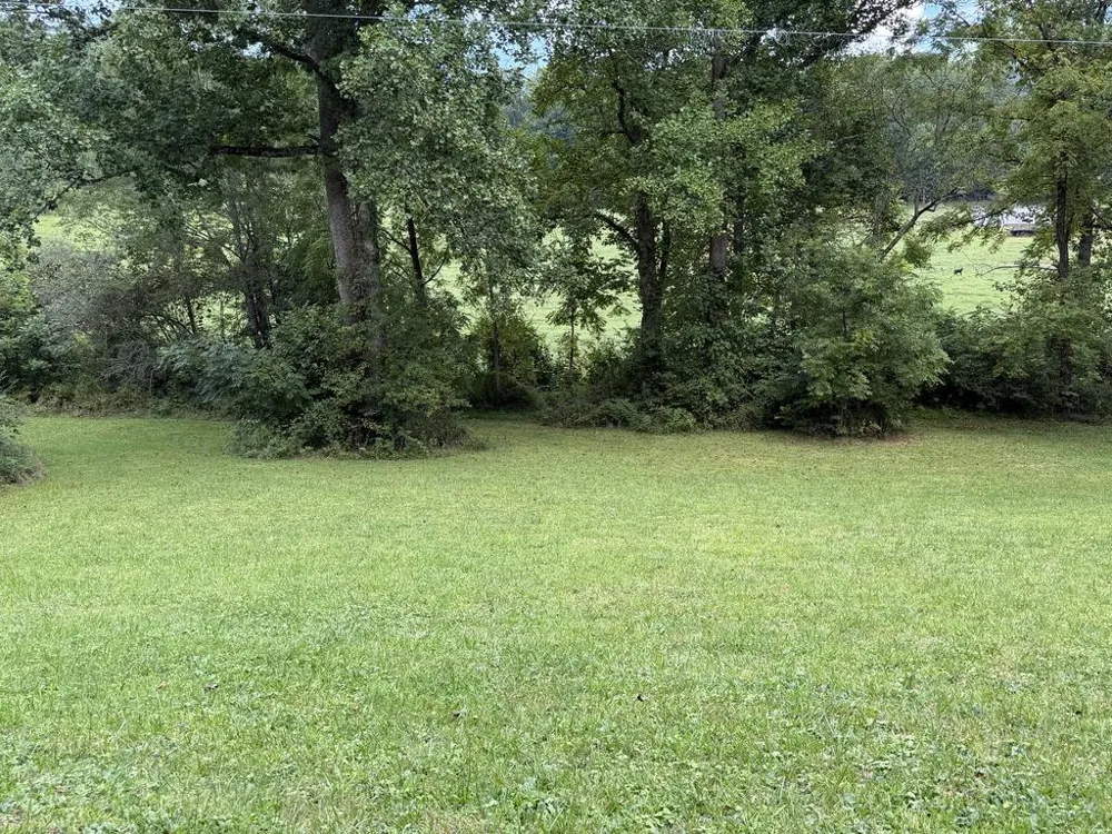 Old VFW Rd Whittier, NC 28789
