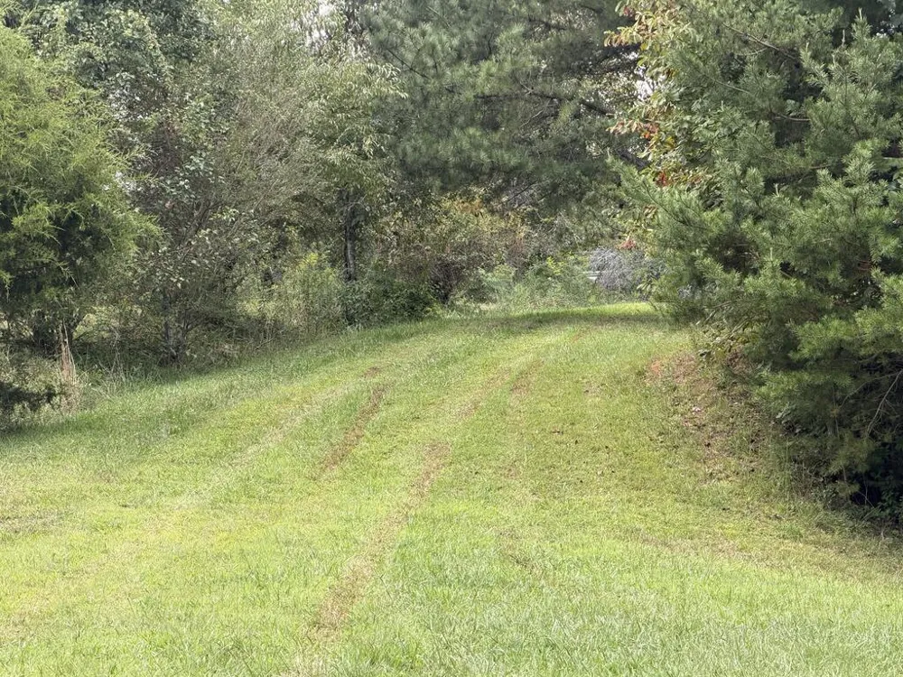 Old VFW Rd Whittier, NC 28789
