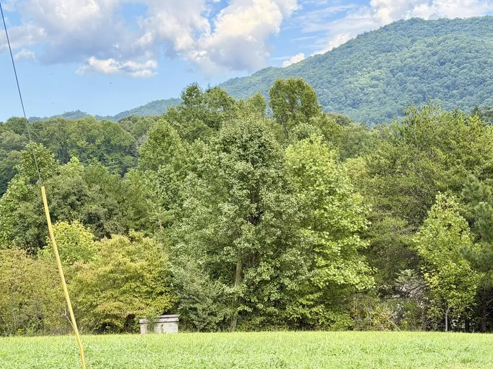 Old VFW Rd Whittier, NC 28789