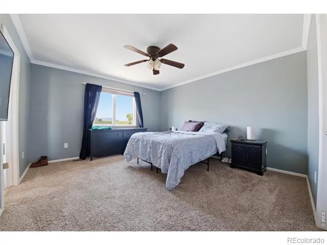 16001 Ginger Avenue Mead, CO 80542