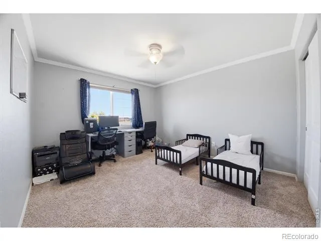 16001 Ginger Avenue Mead, CO 80542