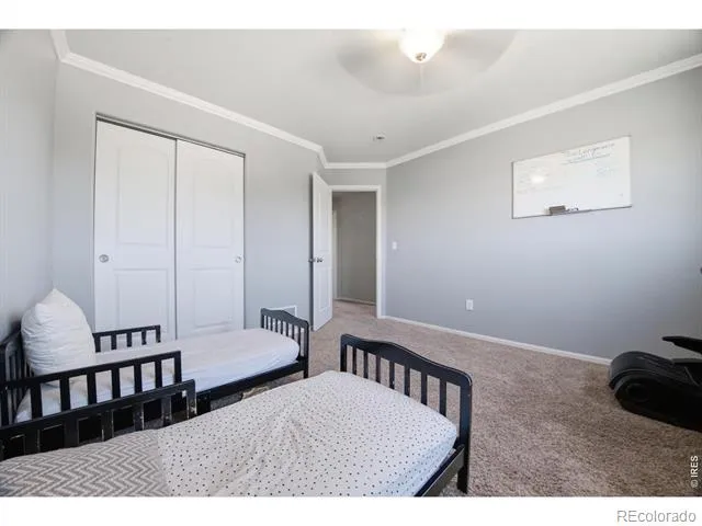 16001 Ginger Avenue Mead, CO 80542