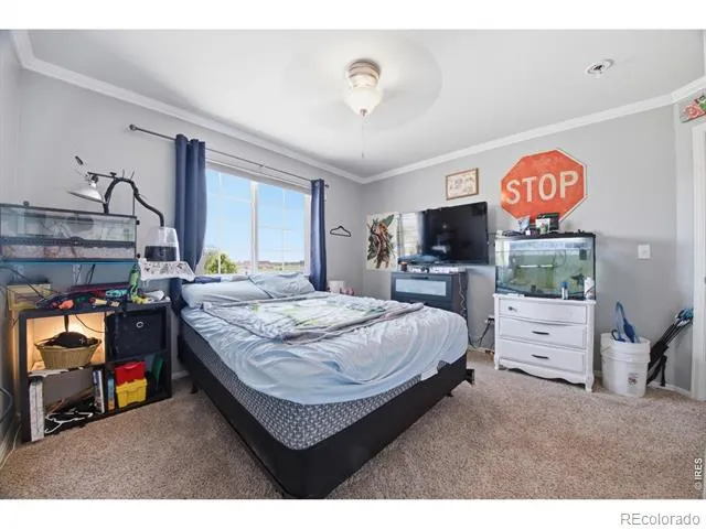 16001 Ginger Avenue Mead, CO 80542