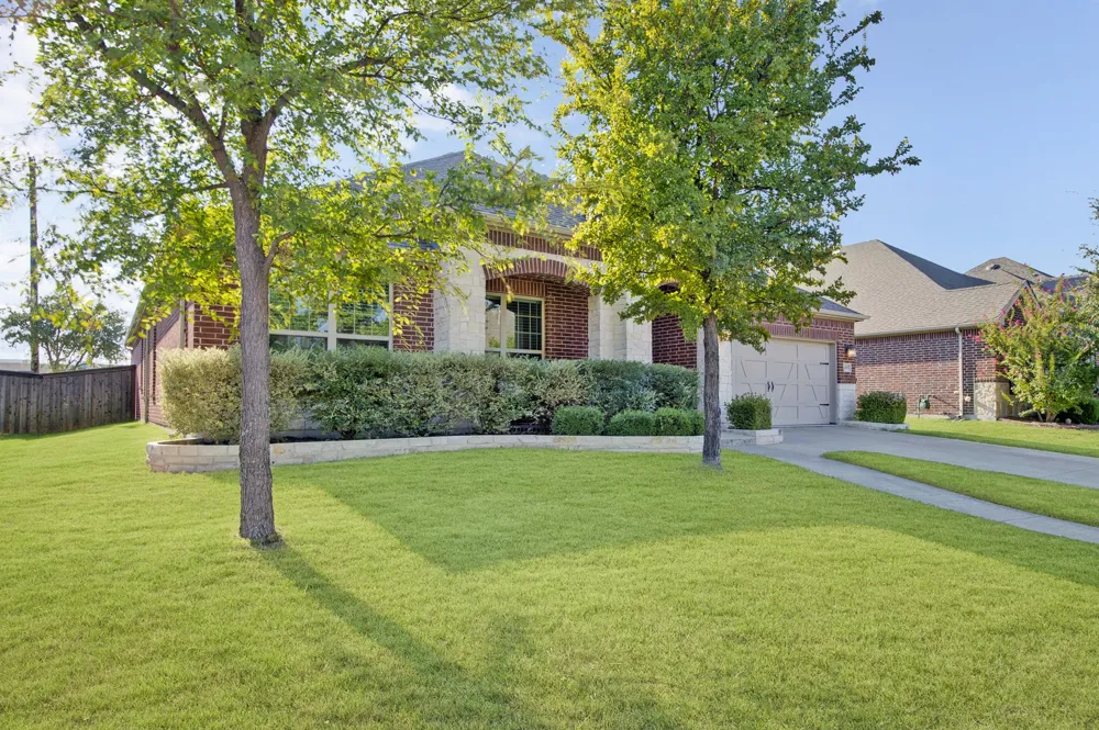 14903 San Paulo Street Frisco, TX 75035