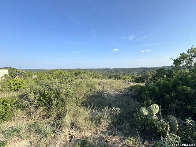 1423 County Road 2744 Mico, TX 78056