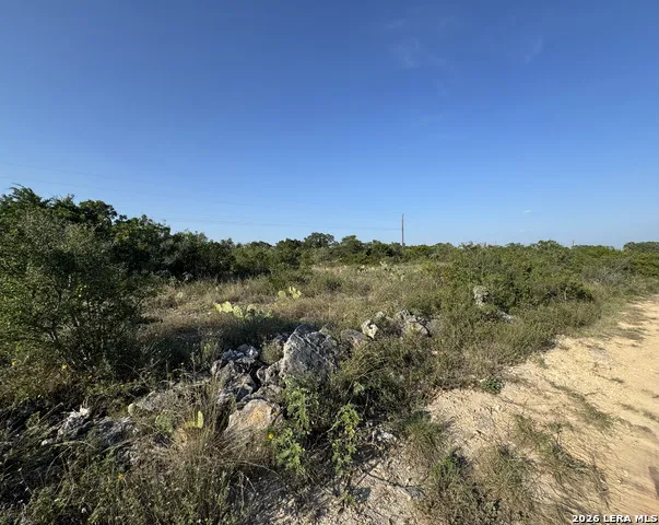 1423 County Road 2744 Mico, TX 78056