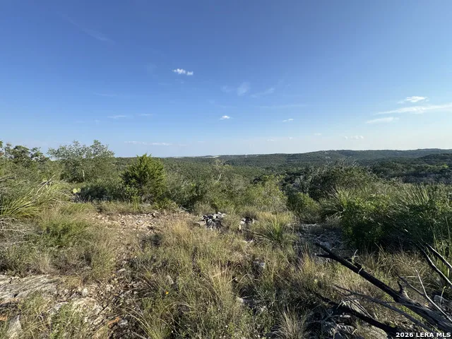 1423 County Road 2744 Mico, TX 78056