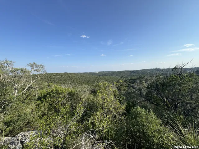 1423 County Road 2744 Mico, TX 78056