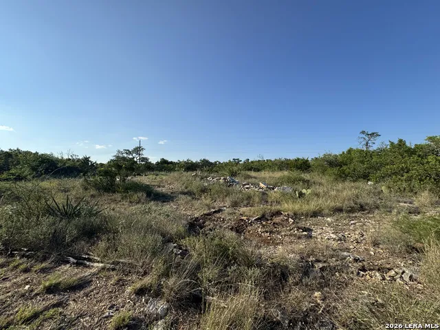 1423 County Road 2744 Mico, TX 78056