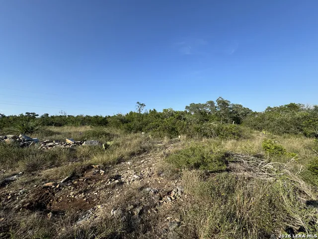 1423 County Road 2744 Mico, TX 78056