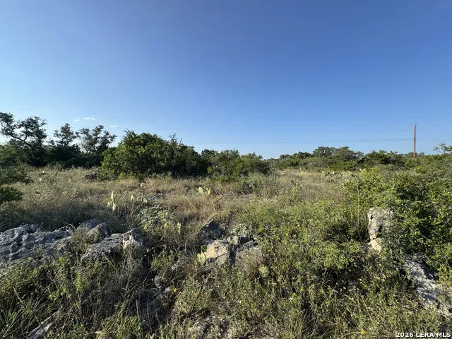 1423 County Road 2744 Mico, TX 78056