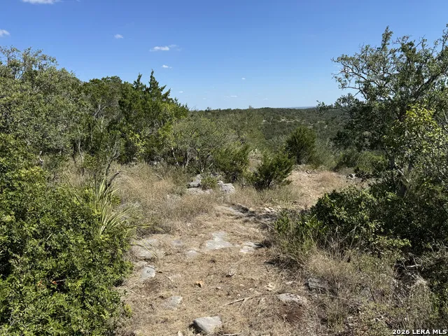 1423 County Road 2744 Mico, TX 78056