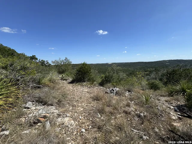 1423 County Road 2744 Mico, TX 78056