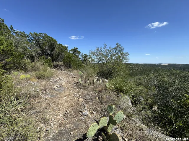 1423 County Road 2744 Mico, TX 78056