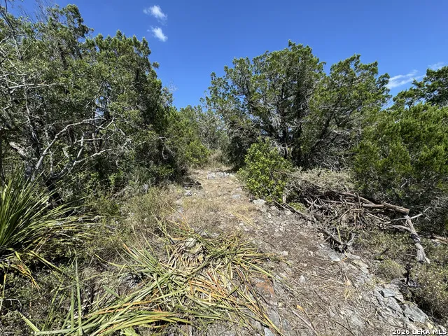 1423 County Road 2744 Mico, TX 78056