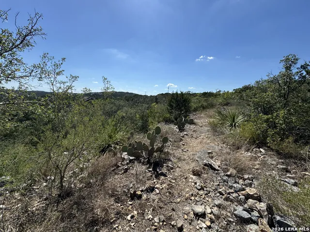 1423 County Road 2744 Mico, TX 78056