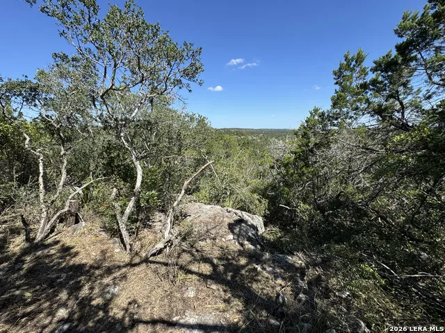 1423 County Road 2744 Mico, TX 78056
